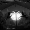 organ1.jpg