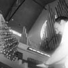 organ3.jpg